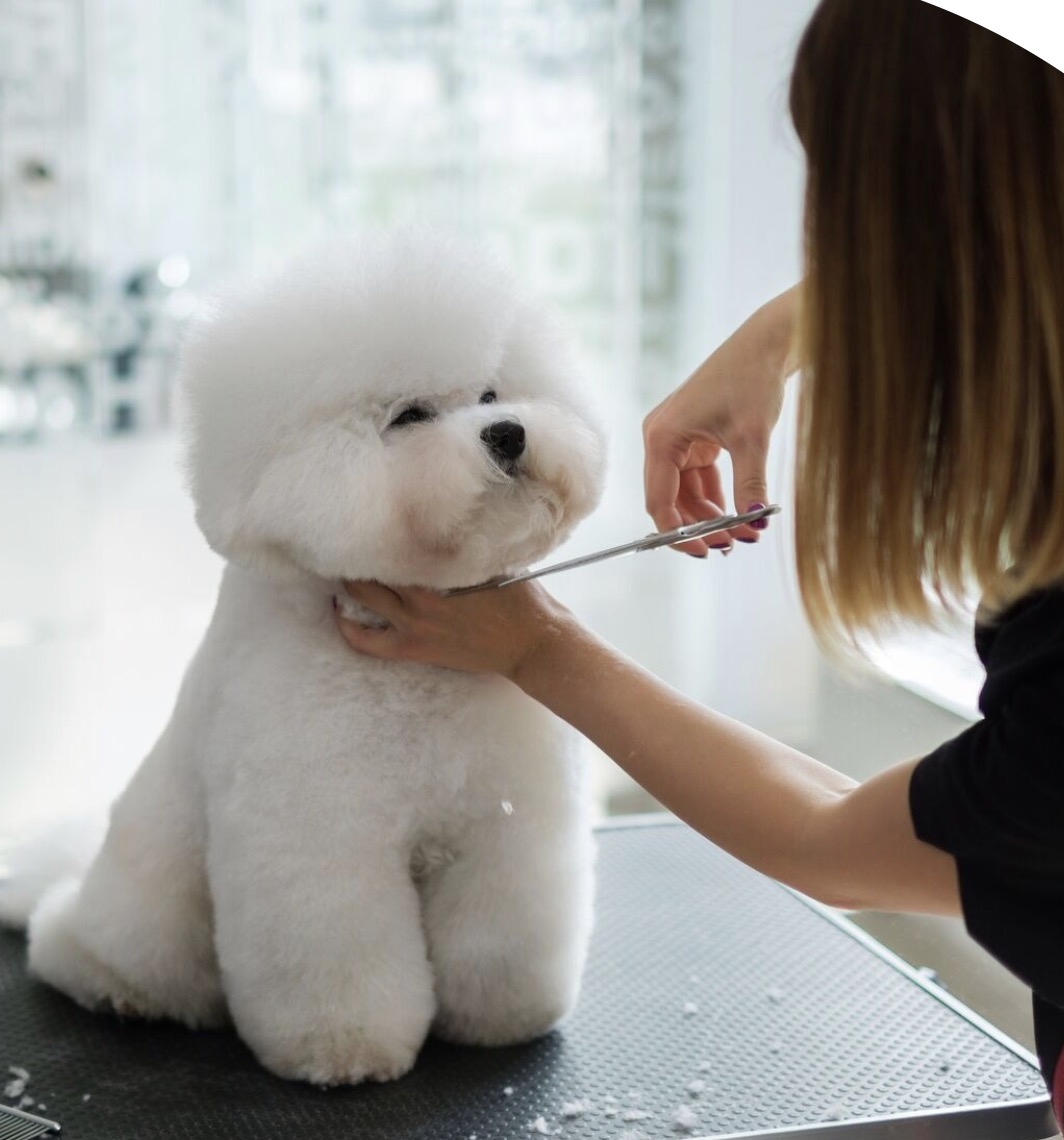 町の好きなところ（お得、便利、メリット…） 