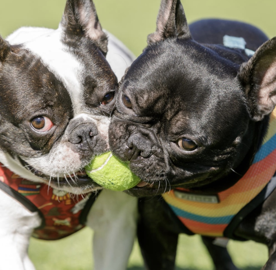 町の好きなところ（お得、便利、メリット…） 