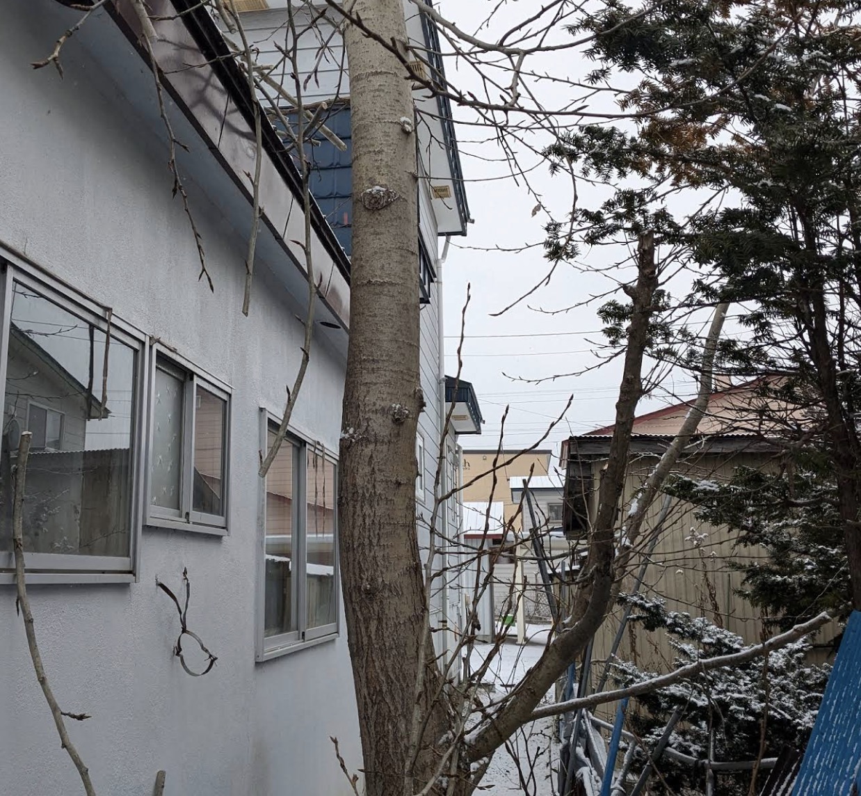 町の好きなところ（お得、便利...