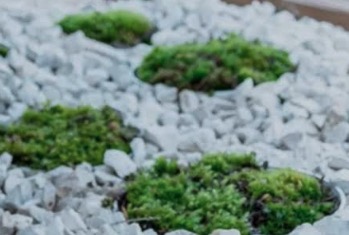 町の好きなところ（お得、便利...