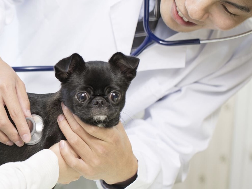 町の好きなところ（お得、便利、メリット…） 