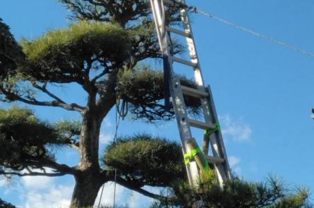 町の好きなところ（お得、便利、メリット…） 