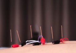 肩こり、腰痛などにオススメの...