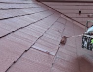 町の好きなところ（お得、便利、メリット…） 