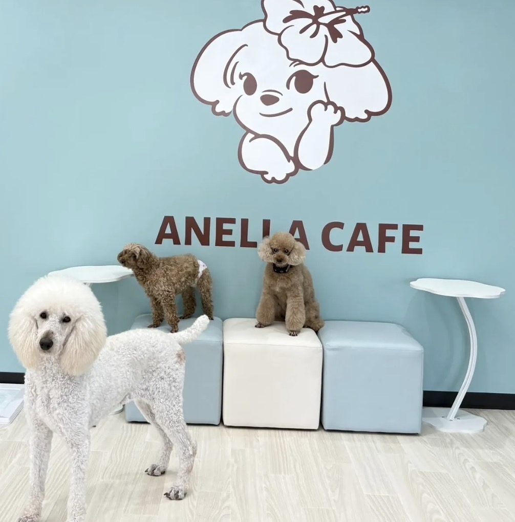 町の好きなところ（お得、便利...