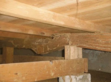 町の好きなところ（お得、便利...