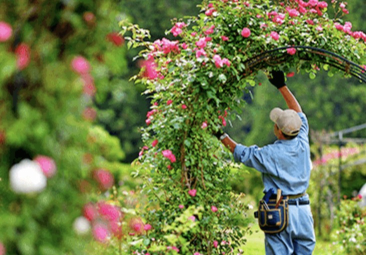町の好きなところ（お得、便利、メリット…） 
