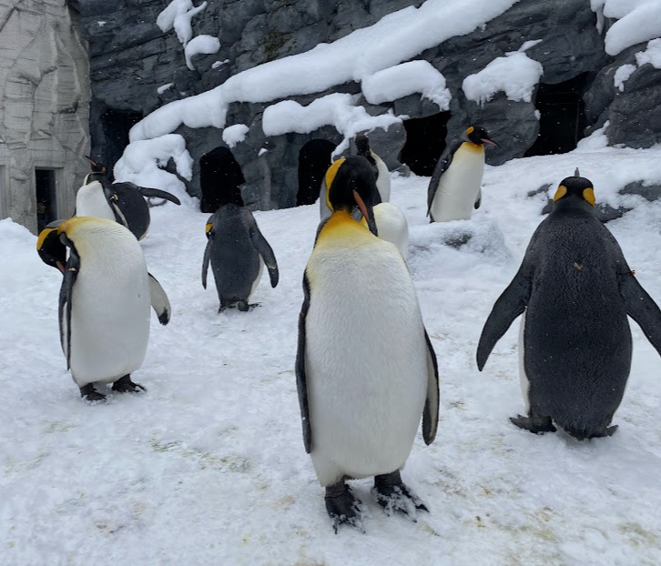 町の好きなところ（お得、便利...