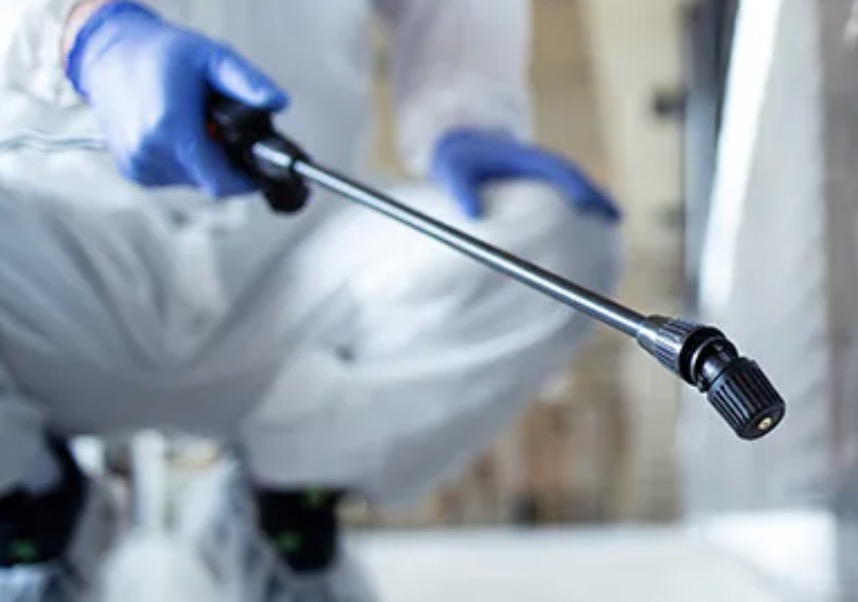 町の好きなところ（お得、便利、メリット…） 