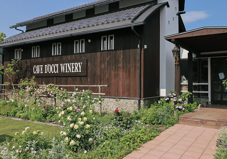 町の好きなところ（お得、便利、メリット…） 