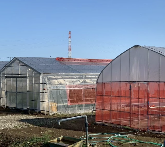 町の好きなところ（お得、便利、メリット…） 