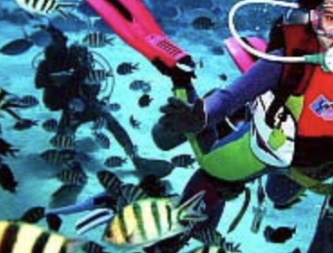 町の好きなところ（お得、便利、メリット…） 