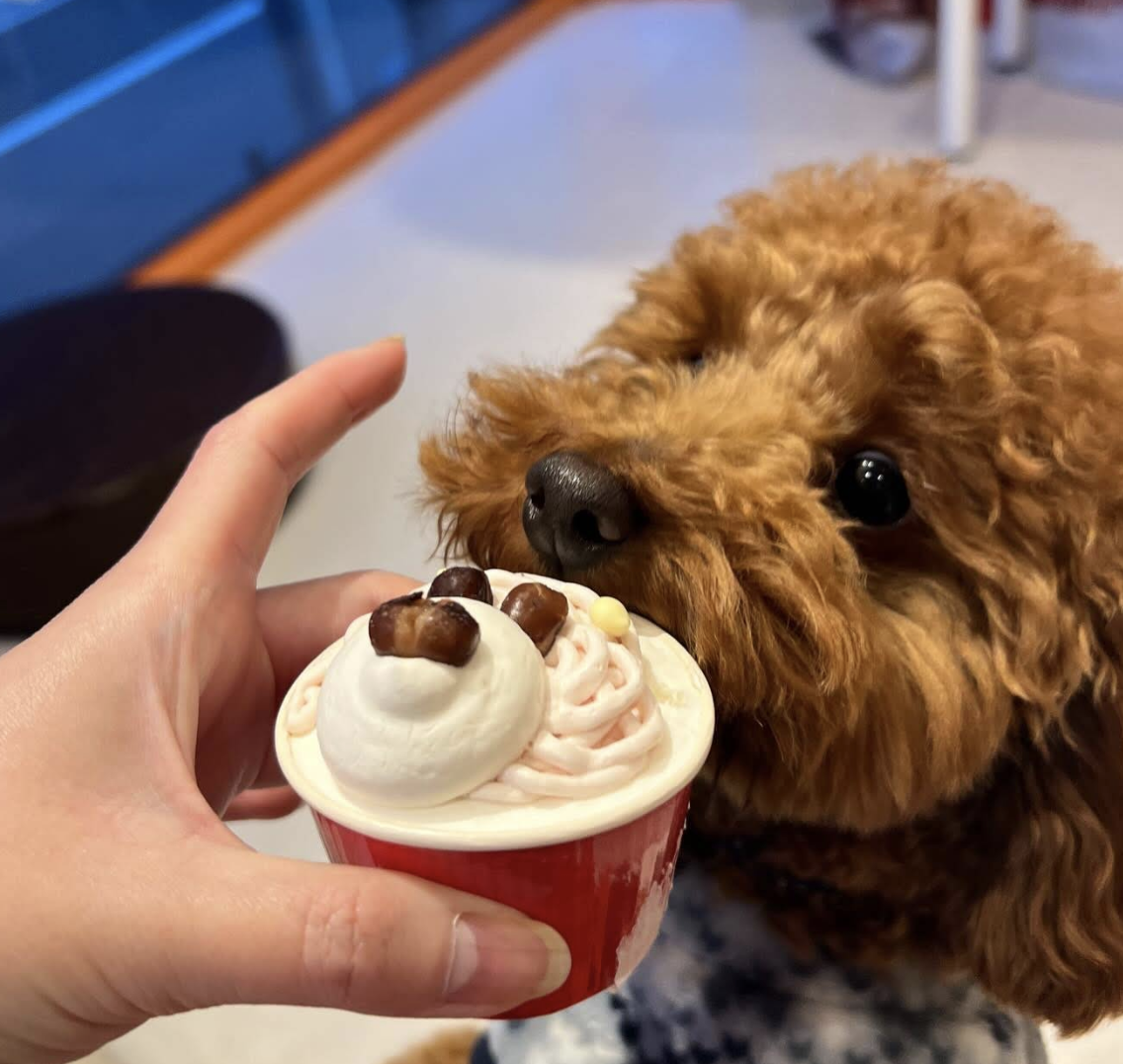 町の好きなところ（お得、便利...