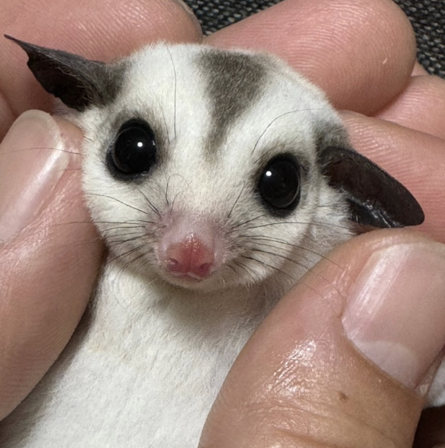 町の好きなところ（お得、便利...