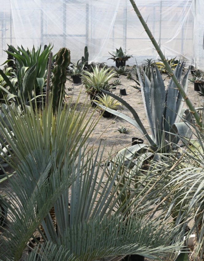 町の好きなところ（お得、便利...