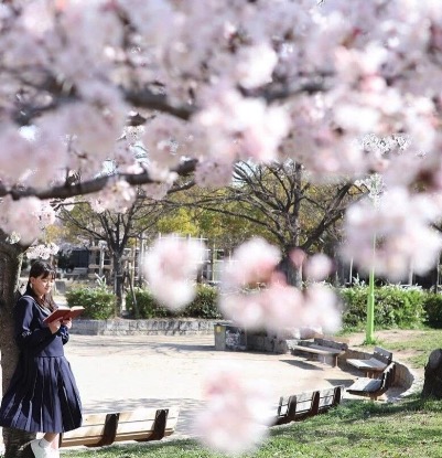 町の好きなところ（お得、便利、メリット…） 