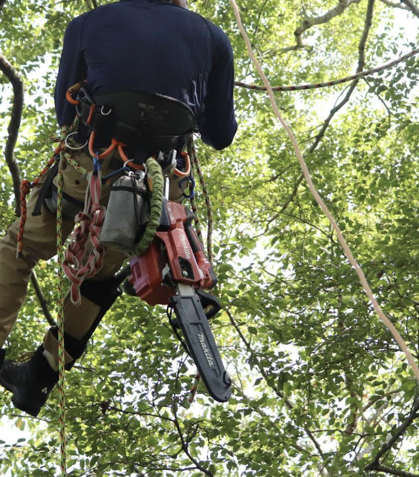 町の好きなところ（お得、便利、メリット…） 