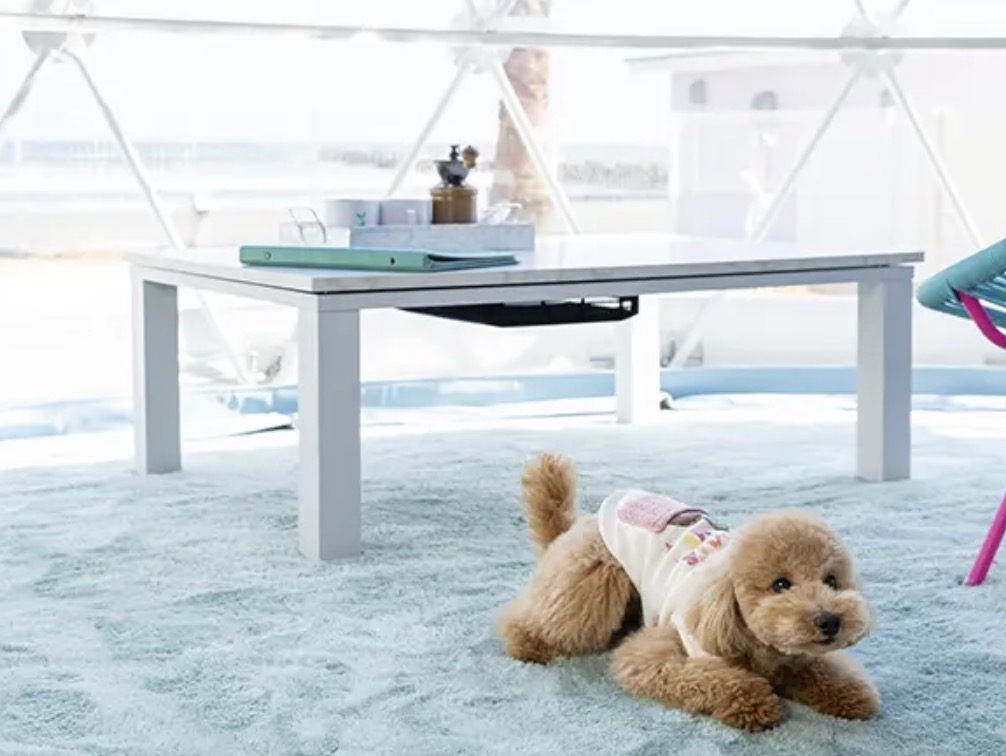 一泊で行く「こだわりの宿」