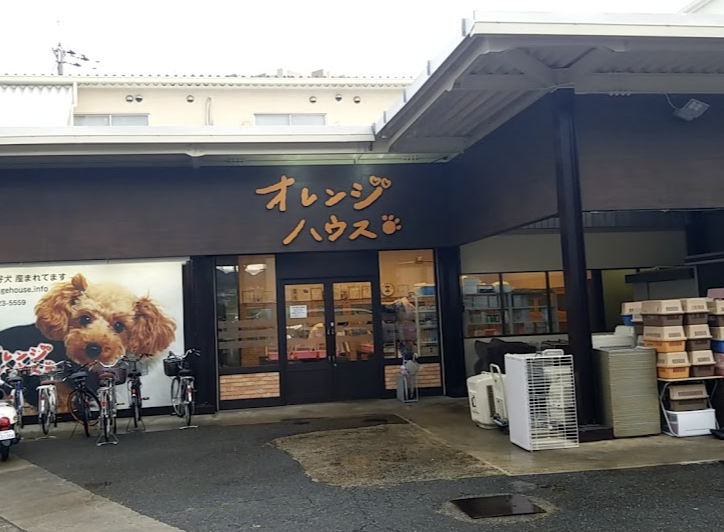 町の好きなところ（お得、便利...