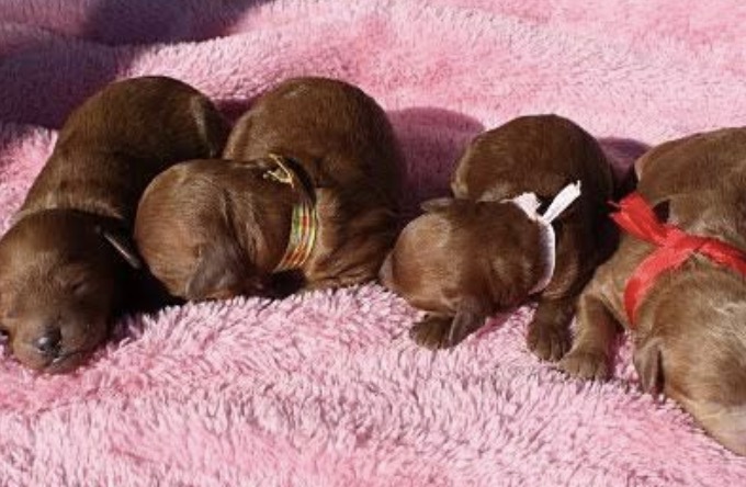 町の好きなところ（お得、便利、メリット…） 