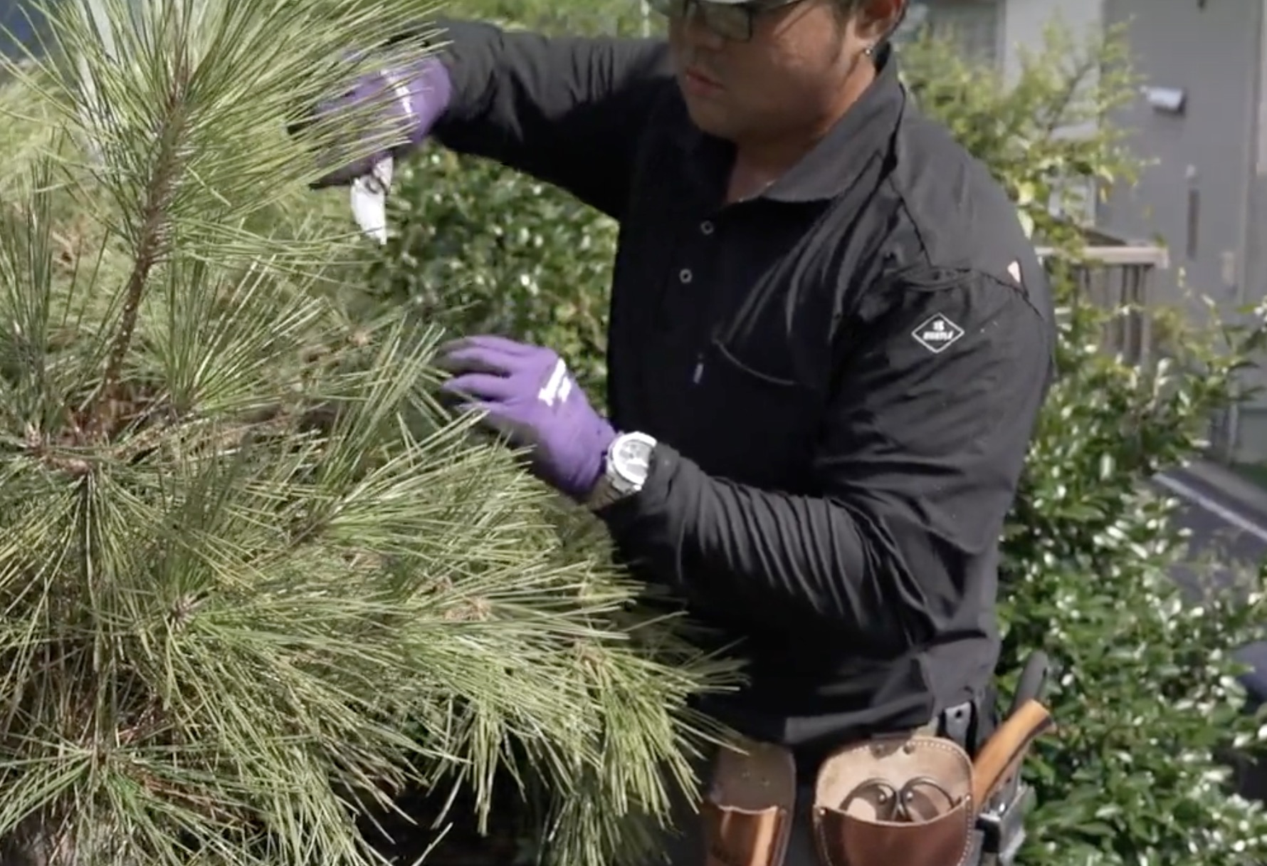 町の好きなところ（お得、便利、メリット…） 