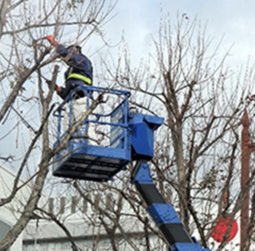 町の好きなところ（お得、便利...