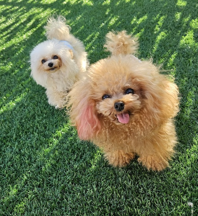 町の好きなところ（お得、便利...