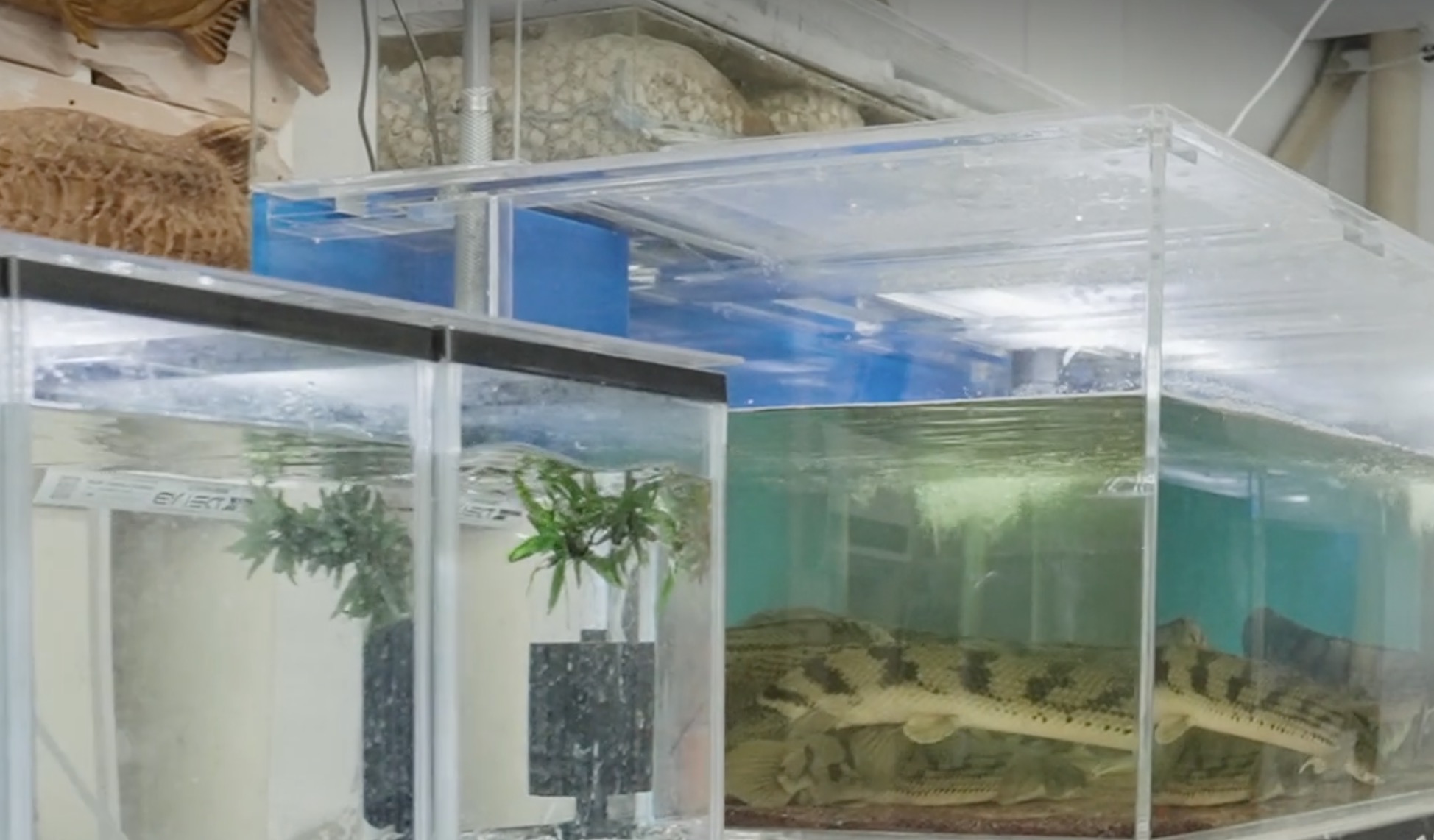 町の好きなところ（お得、便利...