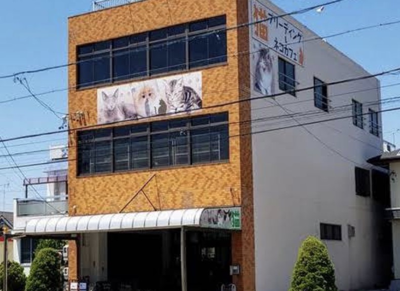 町の好きなところ（お得、便利、メリット…） 