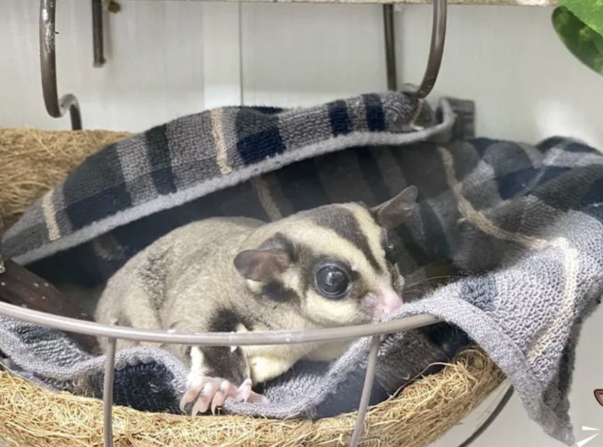 町の好きなところ（お得、便利...