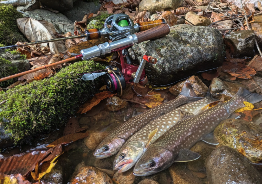 町の好きなところ（お得、便利...