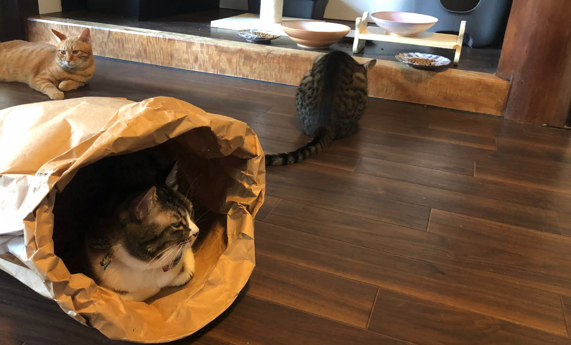 癒しの場所。とにかくリラックスできる場所！ 