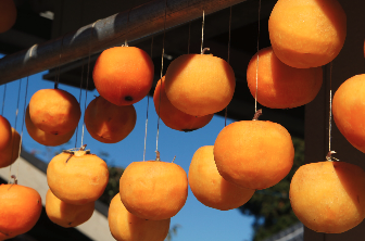 町の好きなところ（お得、便利、メリット…） 
