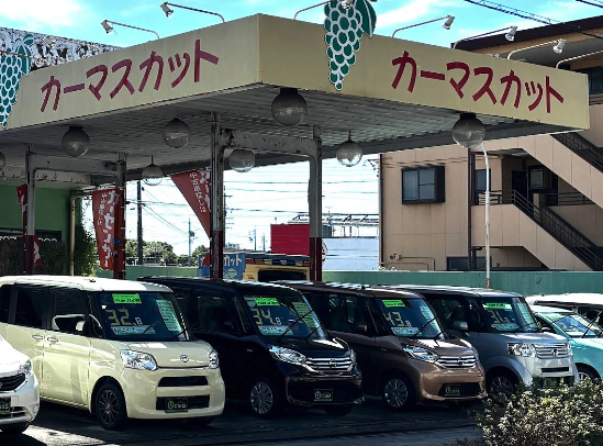 町の好きなところ（お得、便利、メリット…） 