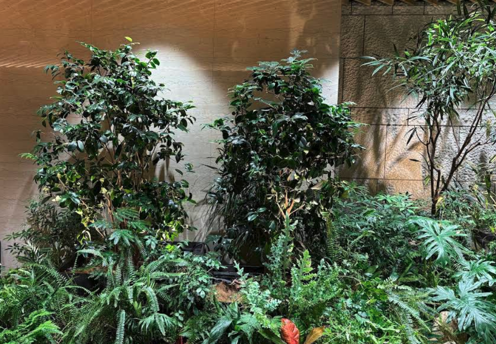 町の好きなところ（お得、便利、メリット…） 