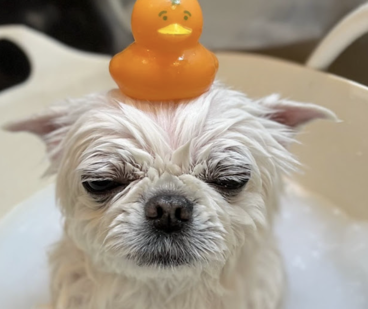 町の好きなところ（お得、便利...