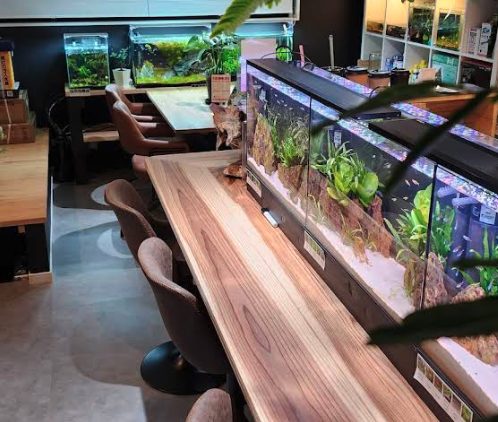 町の好きなところ（お得、便利...