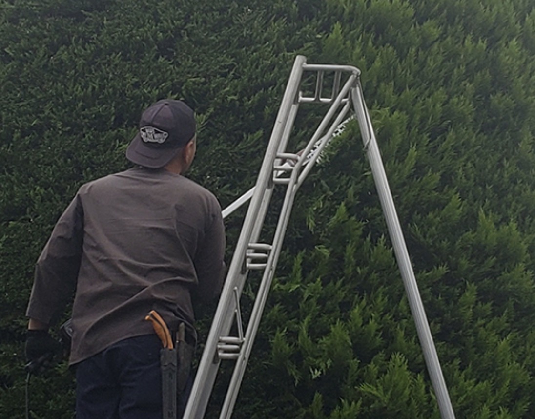 町の好きなところ（お得、便利...