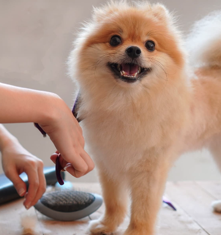 町の好きなところ（お得、便利、メリット…） 