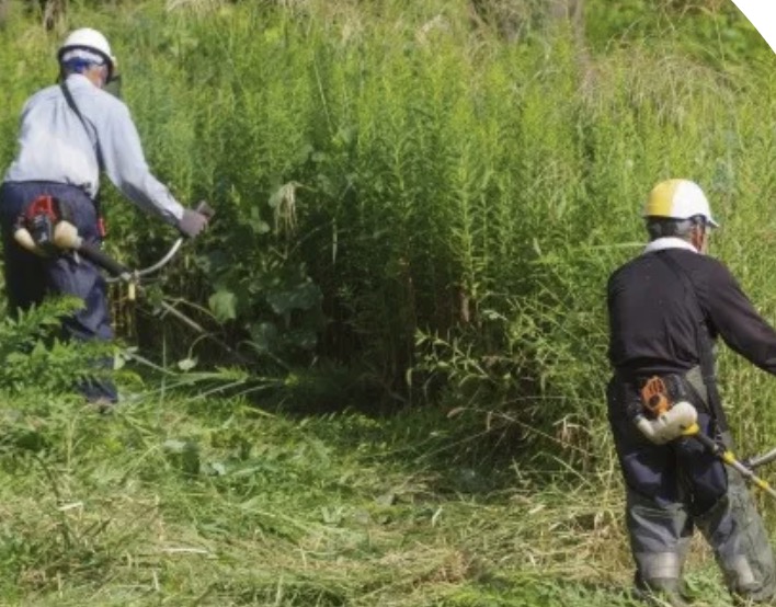 町の好きなところ（お得、便利、メリット…） 