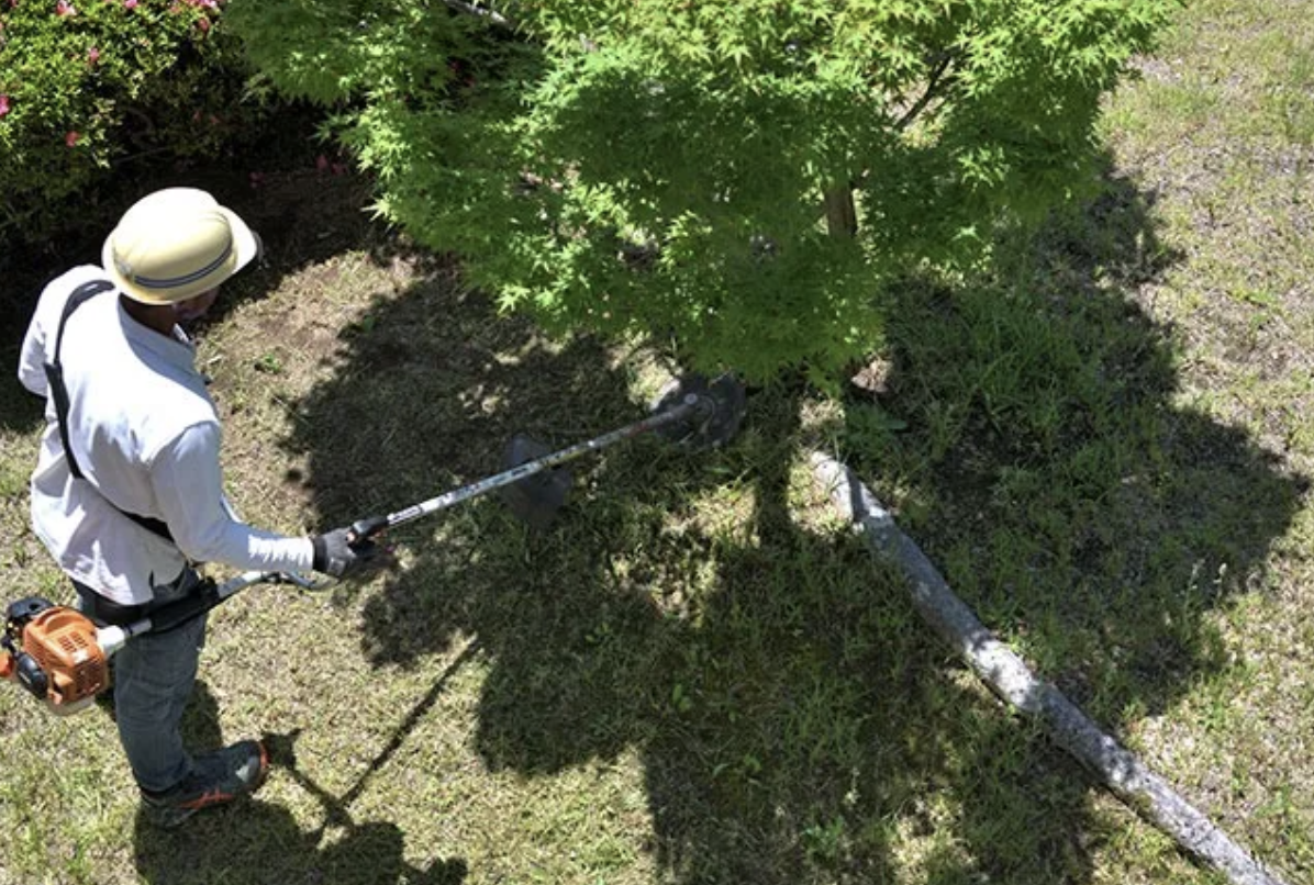 町の好きなところ（お得、便利、メリット…） 