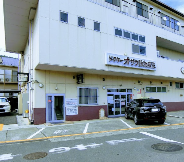 町の好きなところ（お得、便利...