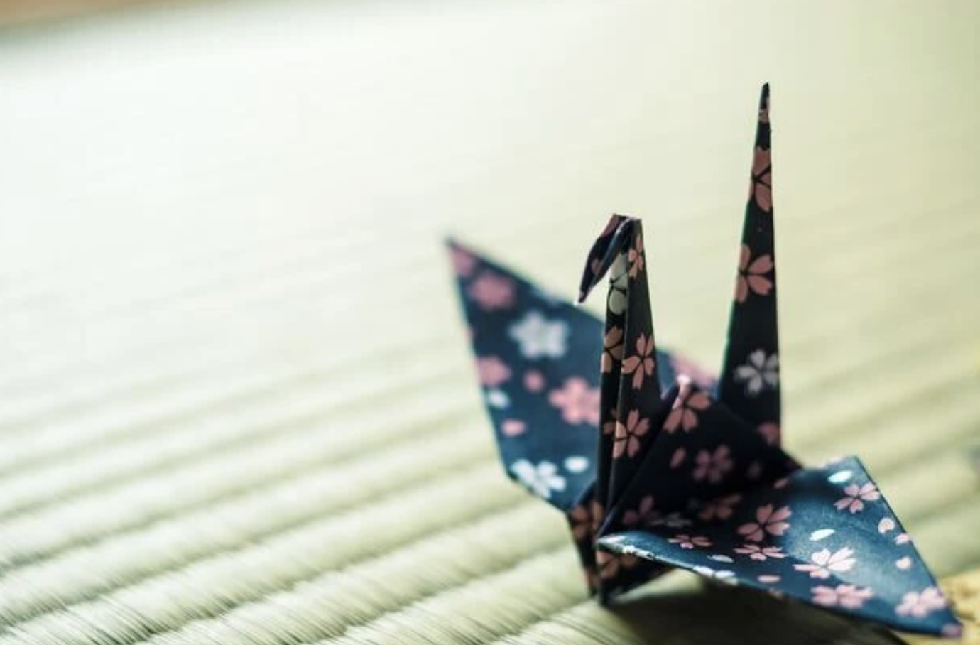 町の好きなところ（お得、便利...