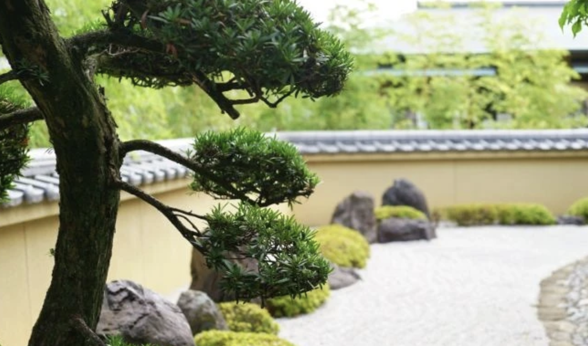 町の好きなところ（お得、便利...