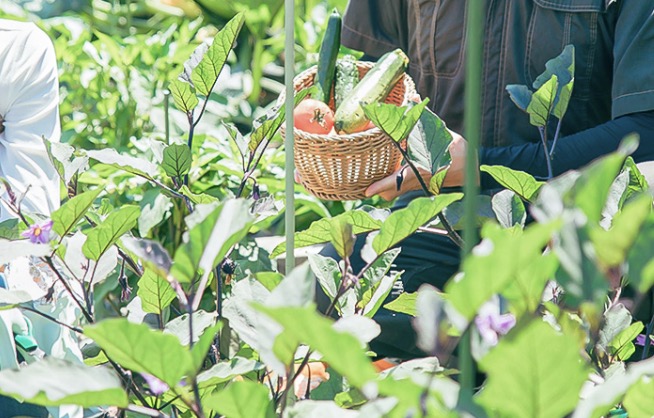 町の好きなところ（お得、便利...