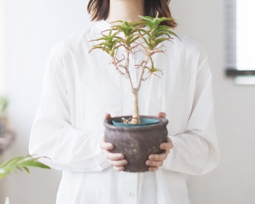 町の好きなところ（お得、便利...