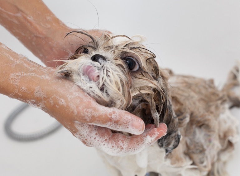 町の好きなところ（お得、便利、メリット…） 