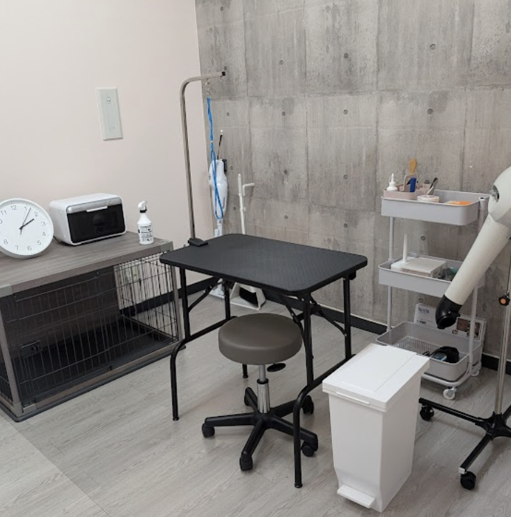 町の好きなところ（お得、便利、メリット…） 