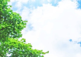 当たる「占い師」！体験談、口...