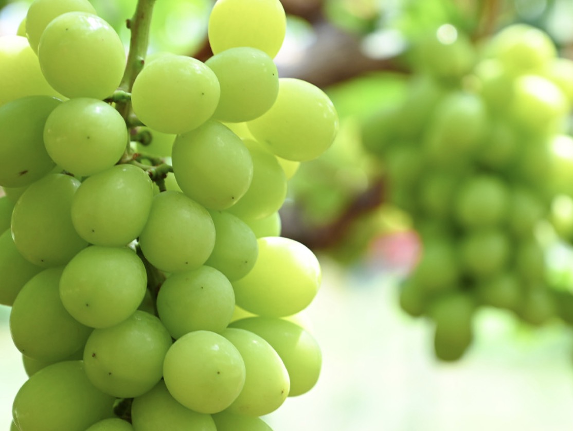 町の好きなところ（お得、便利、メリット…） 